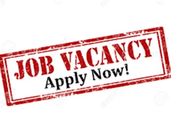 Amado Archive Virtual Assistant Job 2026